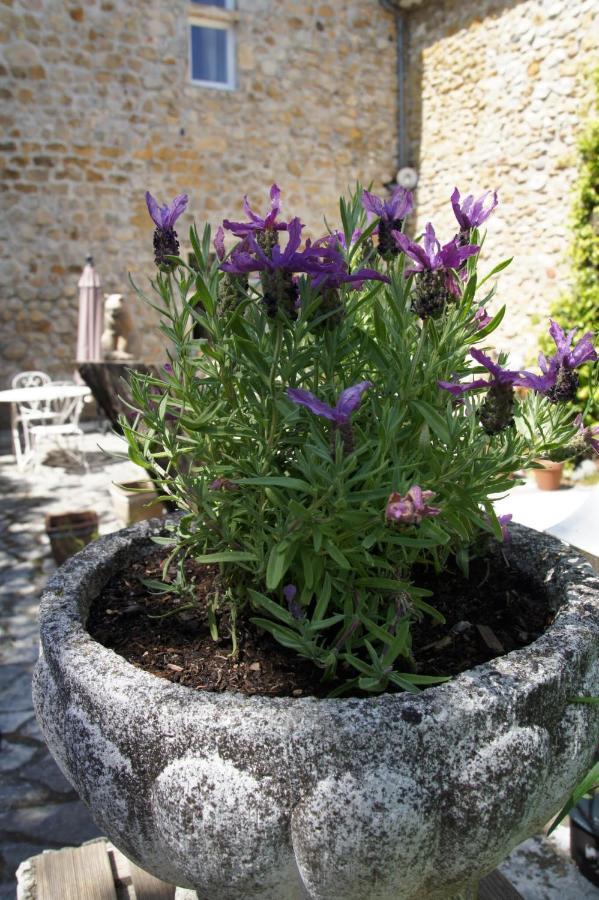 Vallon-Pont-dʼArc Maison Du Manoir מראה חיצוני תמונה